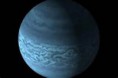 Neptunus